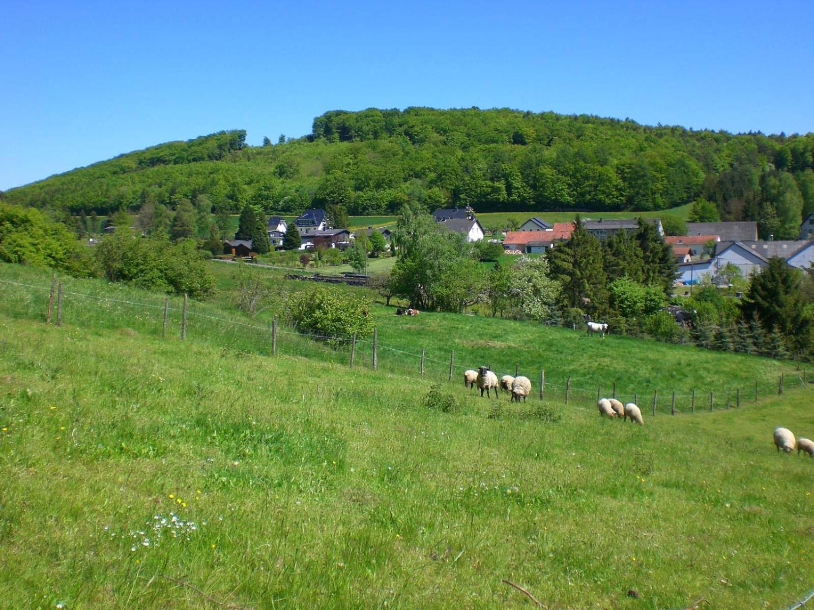 Ferienhof An Der Lay Kerpen  Екстериор снимка