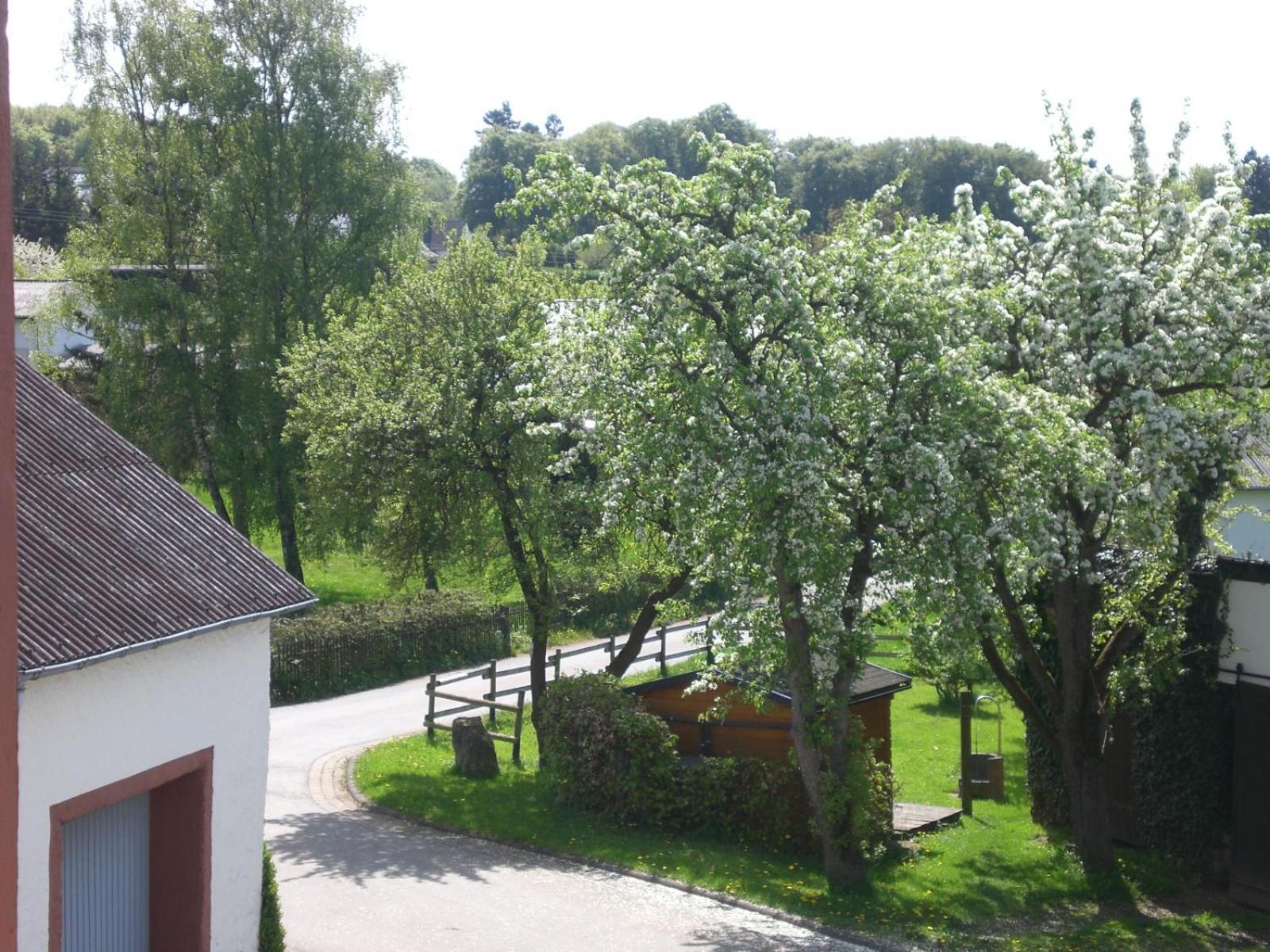 Ferienhof An Der Lay Kerpen  Екстериор снимка