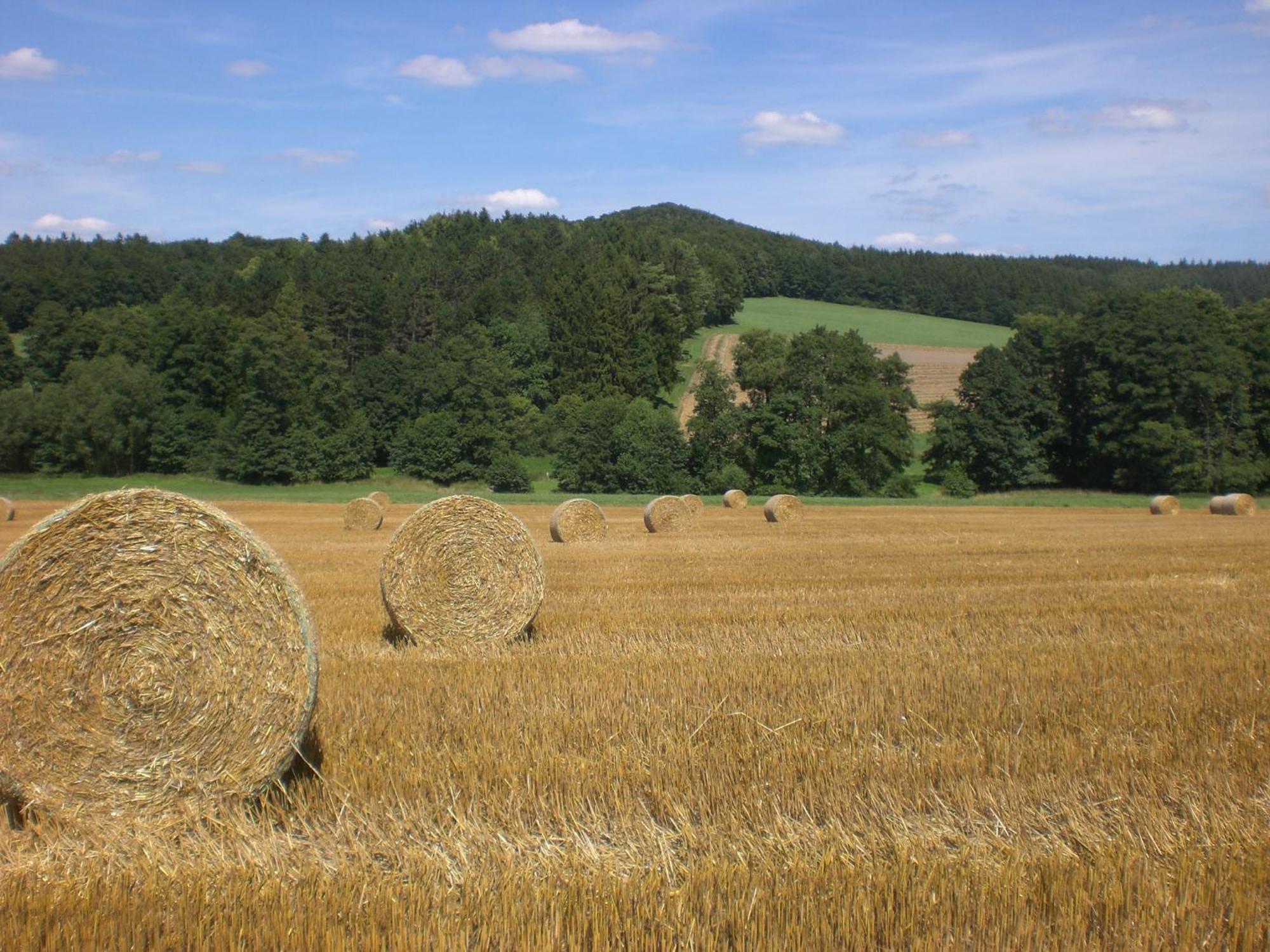 Ferienhof An Der Lay Kerpen  Екстериор снимка