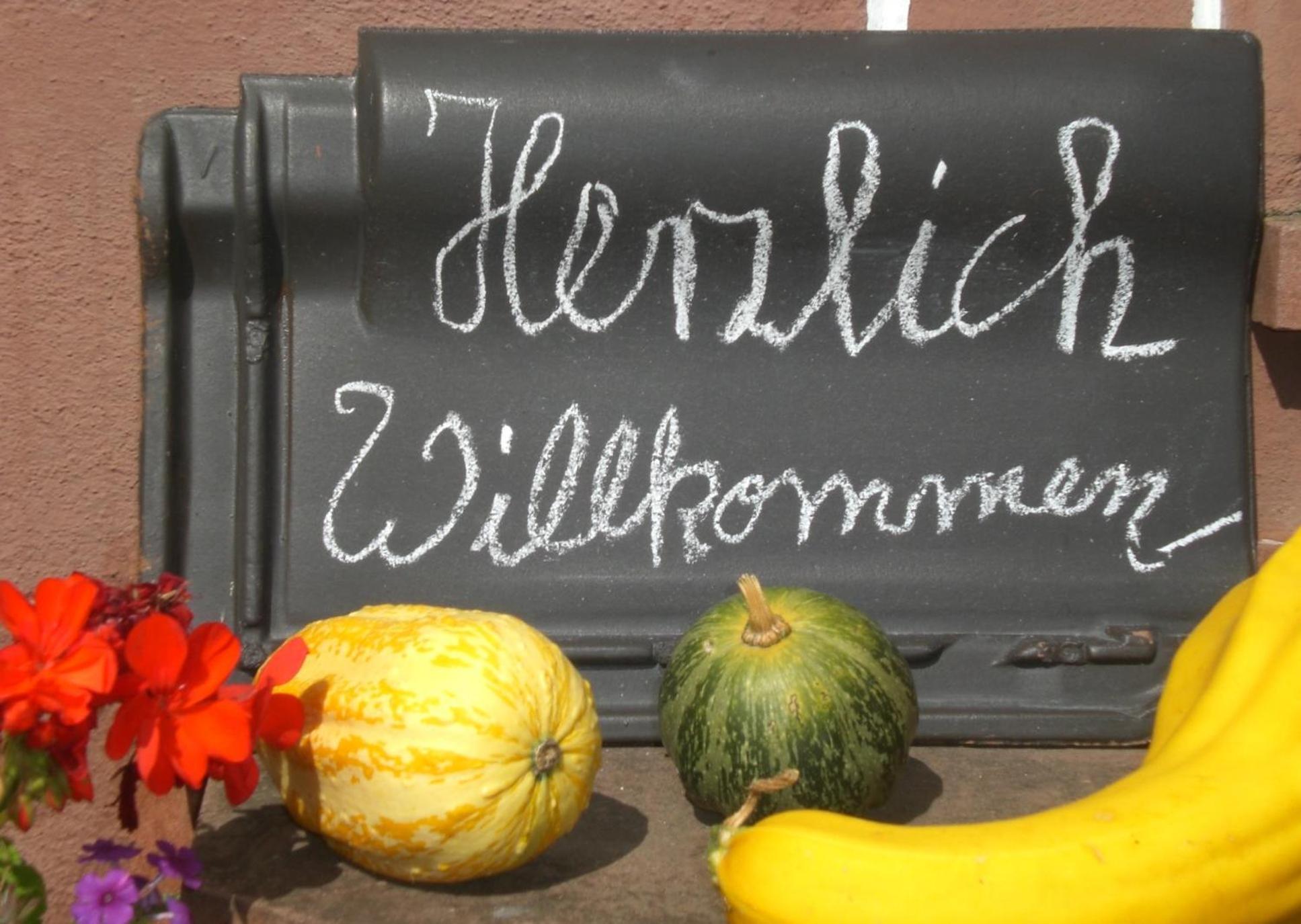 Ferienhof An Der Lay Kerpen  Екстериор снимка