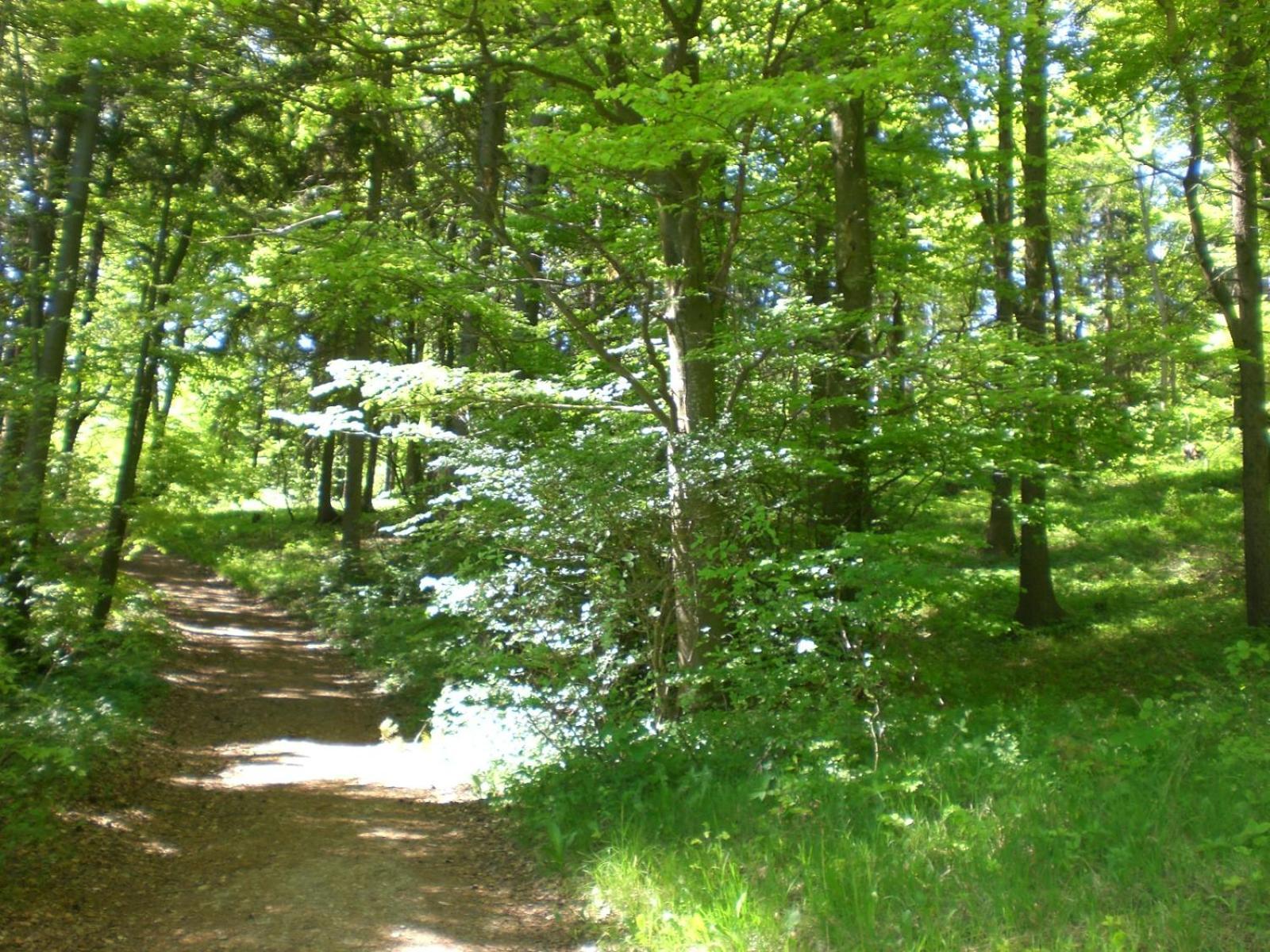 Ferienhof An Der Lay Kerpen  Екстериор снимка