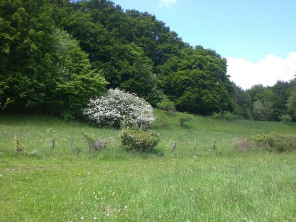 Ferienhof An Der Lay Kerpen  Екстериор снимка